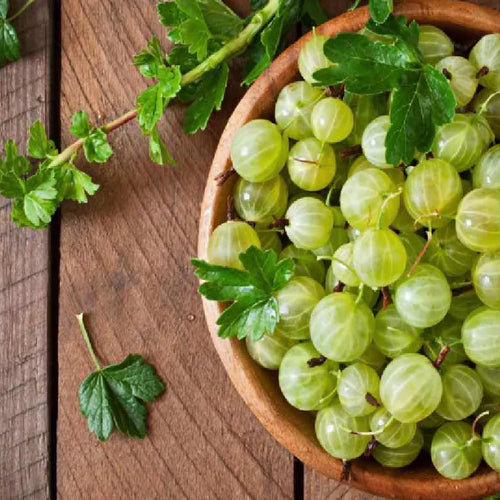 Amla Murabba